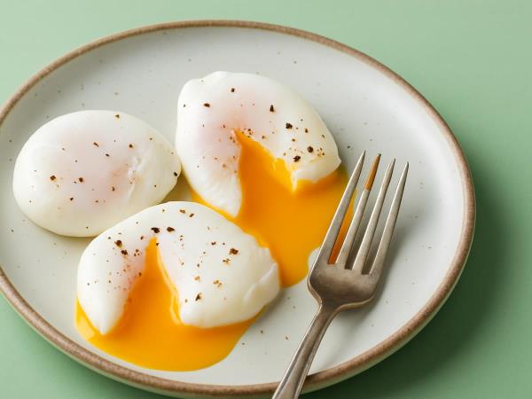 Mit drei Eiern gegen den Hunger